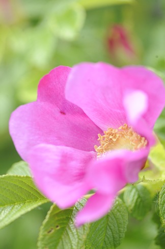 _20100606_104501_01