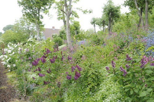 Claus_20100606_124118