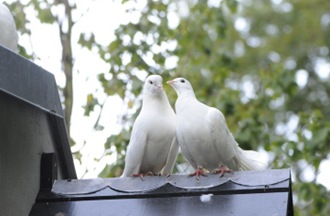 Claus20100904_152736_01