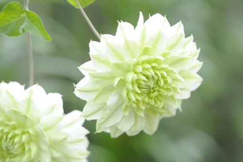 claus20100912_105758