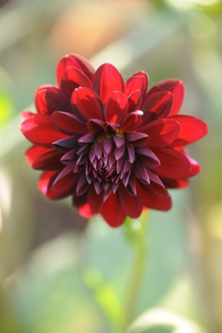 [claus20090920_1312573.jpg]