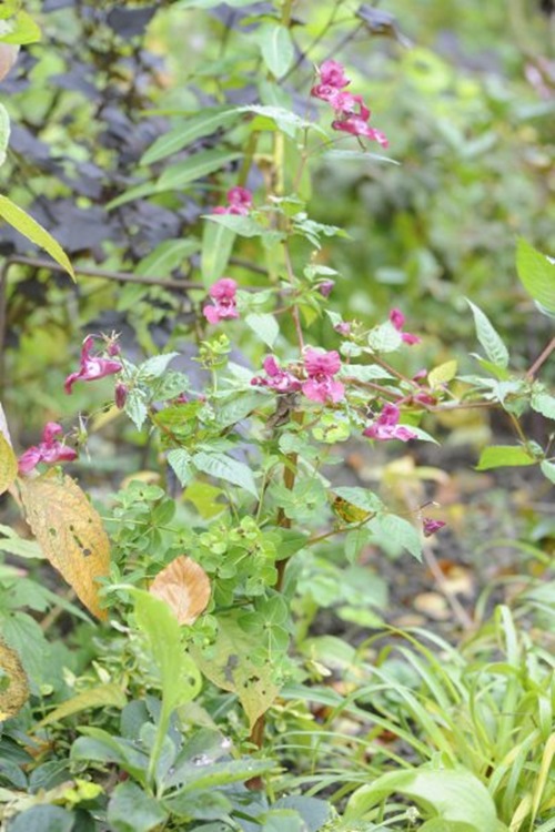 claus20101005_090404