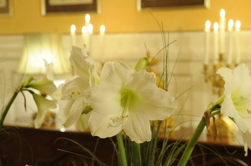 Get Saelger pa etsy i florida For Android