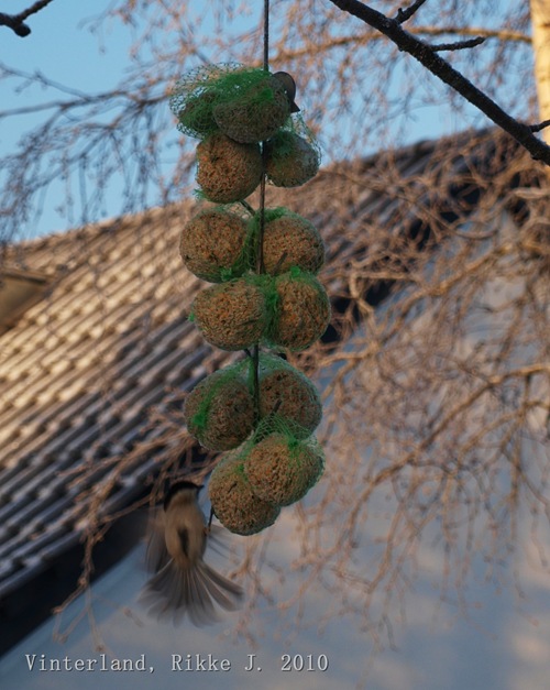 010