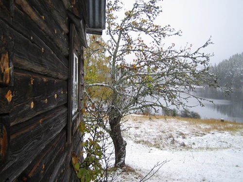 Vinterbilder 056
