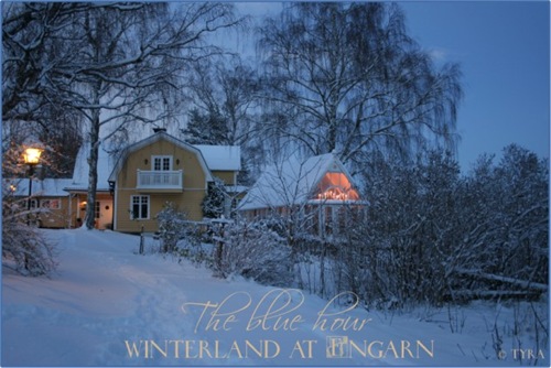 winterland Large Web view