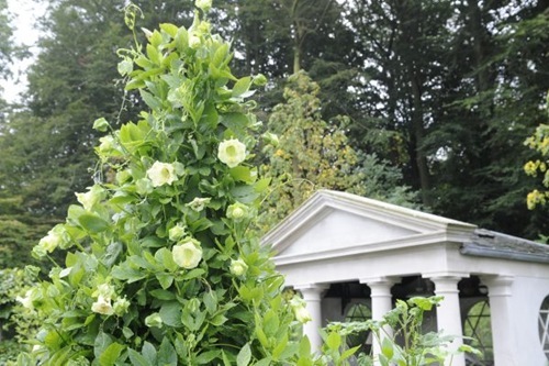 [claus20100912_092314_thumb[1][3].jpg]