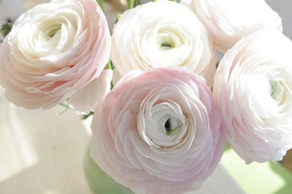 20110305_112632%5B3%5D.jpg?imgmax=800