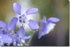 038