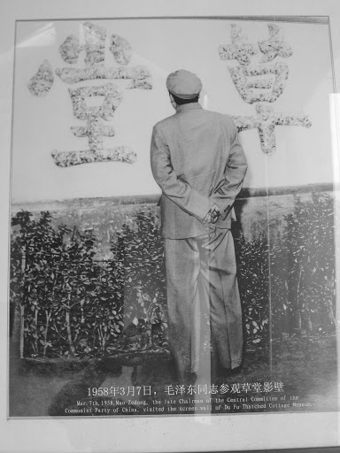 毛泽东照片:maozedongzhaopian-1050902
