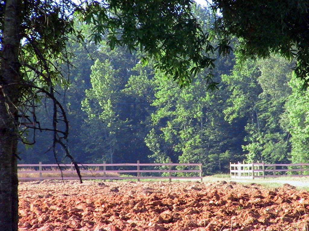 June08%20035.jpg
