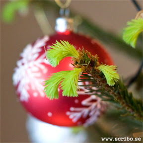 Julgranskula och granskott