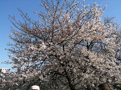 週末のあれこれ