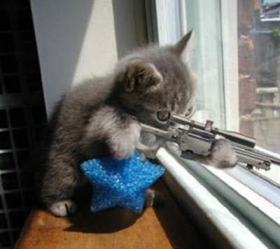 Sniper Gatinho Gatinho Atirador