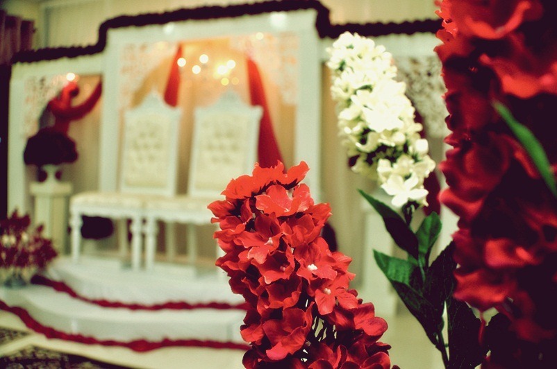 [DSC_0691 copy[11].jpg]