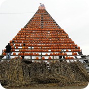 DSCN3498 DSCN3498