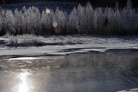 20100221_003_N_FullertonLoop.JPG Photo