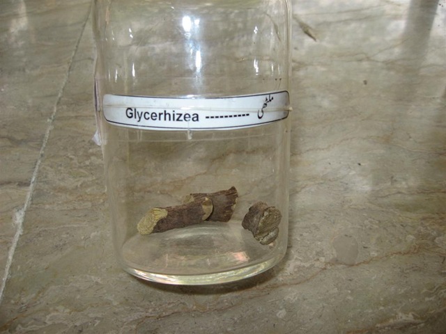 [glycerrizea specimen[2].jpg]