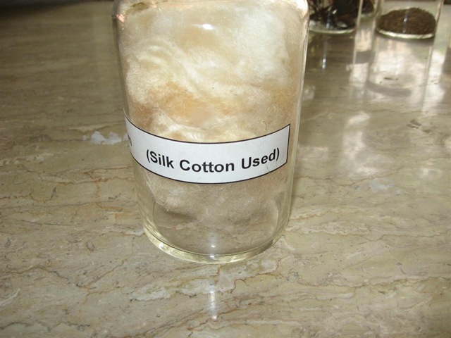 [sumbal (silk cotton) identification[2].jpg]