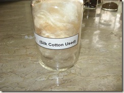 sumbal (silk cotton) identification