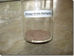 planago ovata (isphagola) specimen