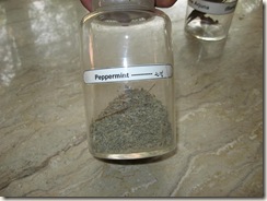 peppermint - podina - specimen
