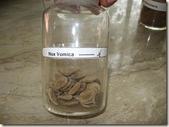 nux vomica seeds pharmacology specimen
