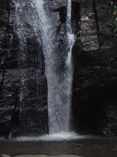 Cachoeiras do Horto Florestal, Rio de Janeiro 1