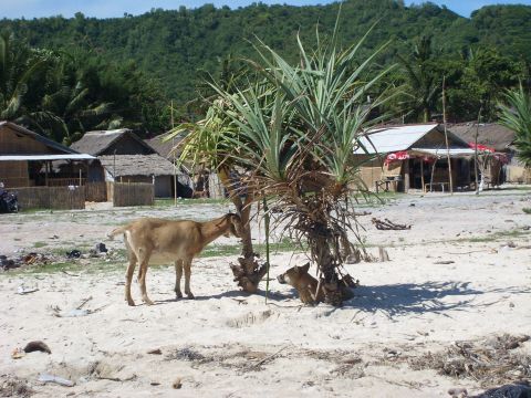 lombok2%20kota4.jpg