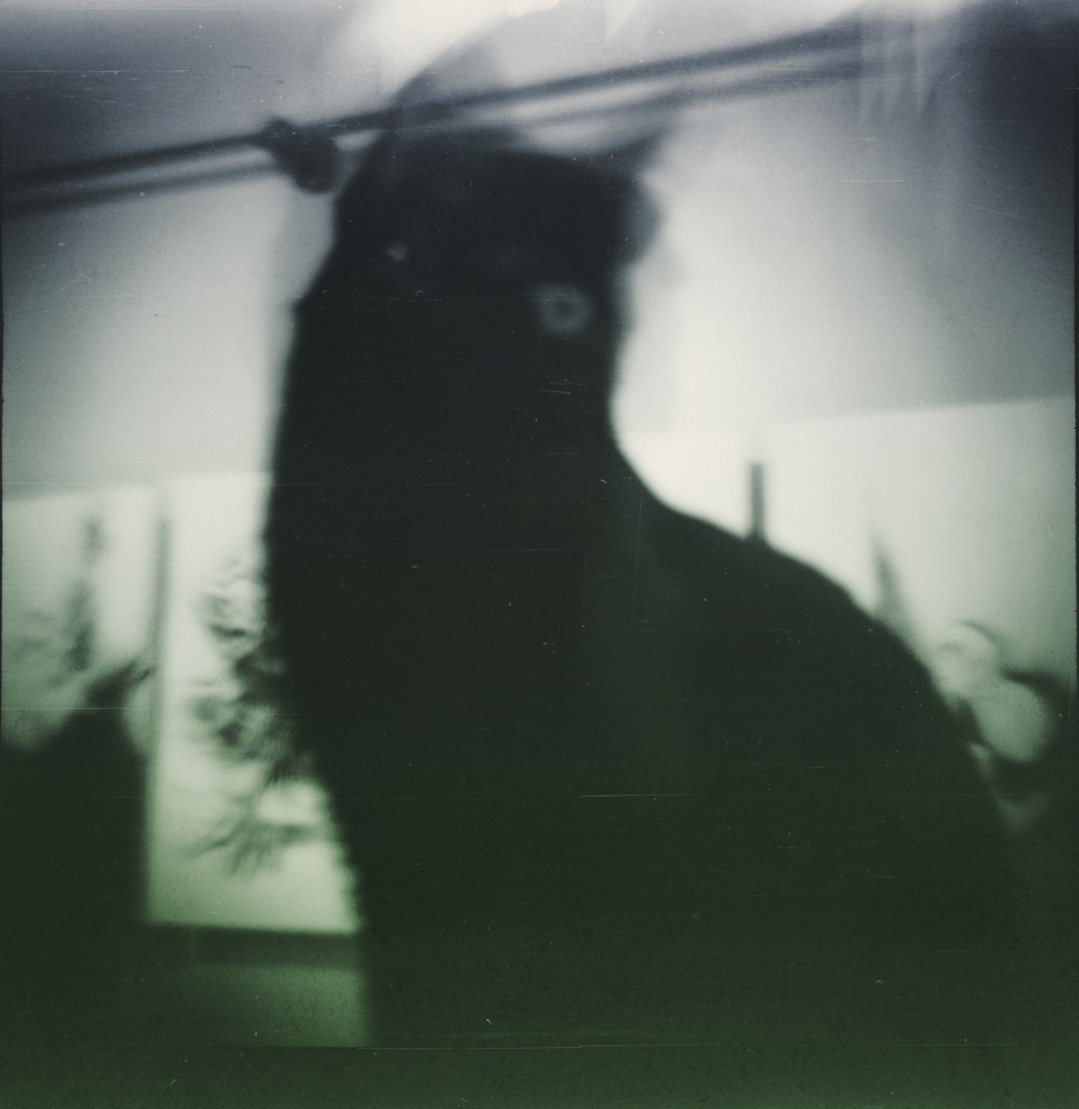 [lomo04[5].jpg]