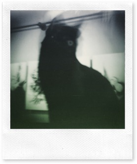 lomo04