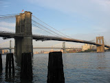 IMG_4958.JPG