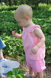 IMG_5442.jpg