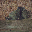 PA310099.JPG