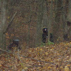 PA310100.JPG