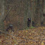 PA310100.JPG