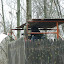 PA310168.JPG