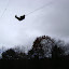 DSC05680.JPG
