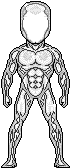 Adaptoidjoe2 Adaptoidjoe2