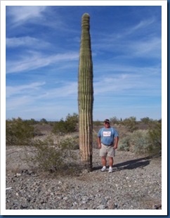 bill w cactus
