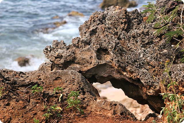 HawaiiBlog011