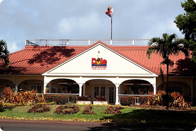 HawaiiBlog018