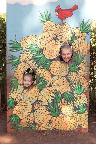 [HawaiiBlog021[5].jpg]
