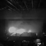 nin
