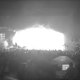 nin
