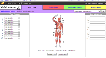 web anatomy