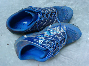 Inov-8 f-lite 230 after the race