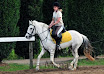 EQUIFUN-126.jpg