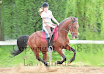 EQUIFUN-145.jpg