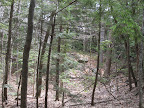 Views from our hike